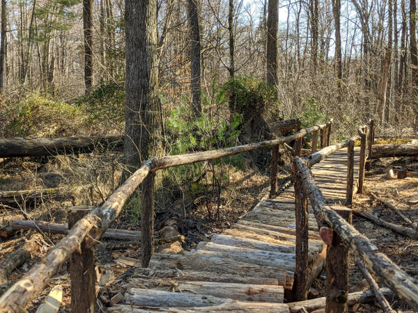 Herrontown Woods