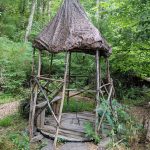 Rustic wooden teepee structure nestled in a lush, green forest setting.