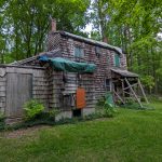 Weathered wooden cabin nestled in a dense, green forest under an overcast sky.