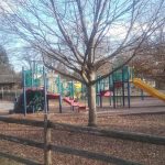 Empty playground with swings and slides under a bare tree on a clear day.