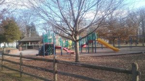 Higgs Park