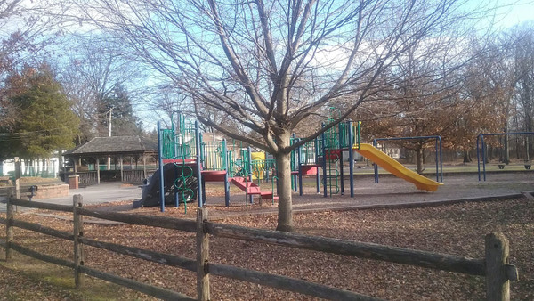 Higgs Park