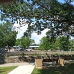Large tree canopy over a stone bridge and park area on a sunny day.