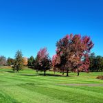 Vibrant red and green trees on a sunny, manicured golf course under a clear blue sky.