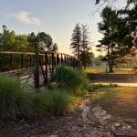 Wooden footbridge arches over a grassy area at sunset near trees and water.