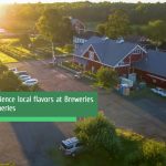Sunlit view of a brewery and winery complex nestled in a green, rural landscape.