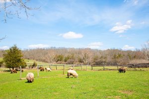 Howell Living History Farm