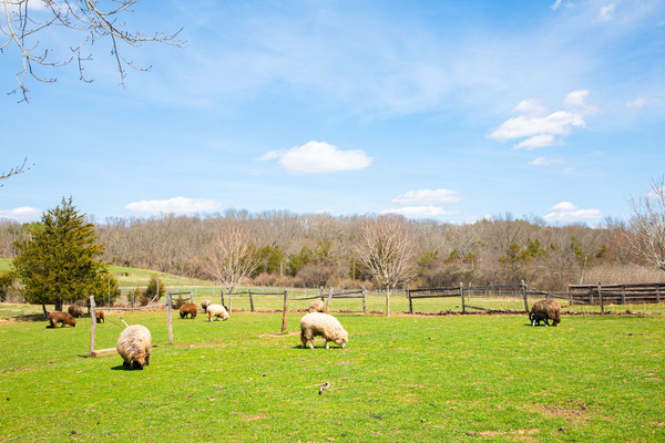 Howell Living History Farm