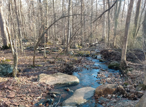 Hunterdon County Sourland Mountain Preserve
