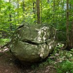 Large mossy boulder in a lush, green forest setting with tall trees.