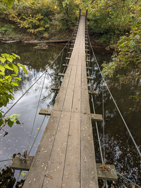 Institute Woods