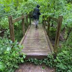 Person walks across a rustic wooden footbridge through lush green forest foliage.