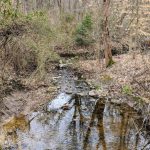 Small stream flowing through a wooded area with bare trees and brush.