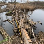 Debris and wreckage in muddy, flooded field with power lines visible.