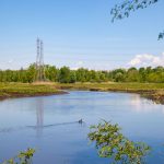Blue sky over a calm river flowing through green fields with power lines in the distance.