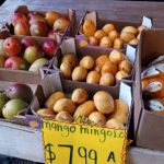 Crates filled with fresh mangoes for sale at a market stall.