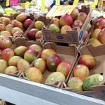 Baskets filled with colorful fresh apples displayed for sale at a market.
