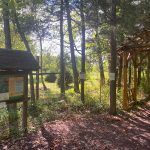Wooded trail with informational sign and rustic wooden archway under trees.