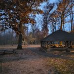 Autumn park scene with a wooden pavilion under bare trees and fallen leaves.