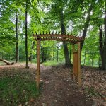 Wooden arbor in a lush, sun-dappled forest path.