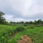 Green field with tall grass borders a distant body of water under an overcast sky.