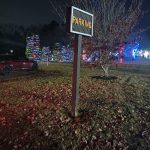 Parking sign in a dark field with colorful holiday lights decorating trees in the background.