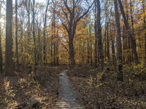Lawrence Nature Center