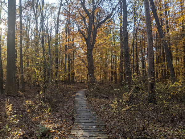 Lawrence Nature Center