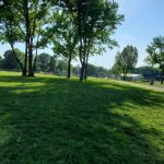Sunlight shines through green trees over a grassy park area on a clear day.