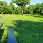 Lush green park lawn with a large tree under a bright blue sky.