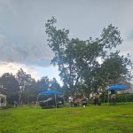 Outdoor gathering under large trees with tents and people on a grassy lawn.