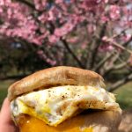 Hand holding a baked savory bun with fried egg and melted cheese, set against blooming cherry trees.