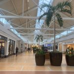 Bright, modern indoor mall atrium with palm trees and storefronts.
