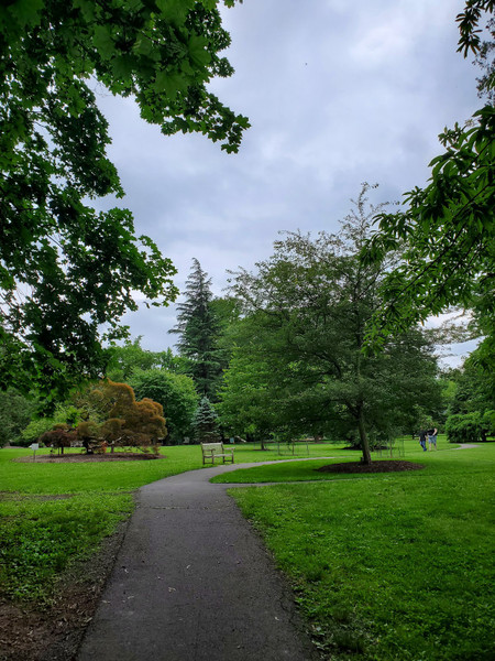 Marquand Park