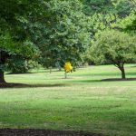 Lush green lawn bordered by mature trees and woodland in a park setting.