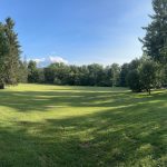 Expansive green park lawn under a bright blue sky with scattered trees.