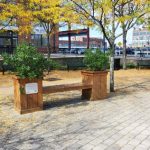 Park scene with benches, trees showing yellow fall leaves, and city buildings in the background.
