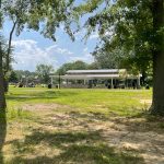 Outdoor pavilion under trees on a sunny, grassy park lawn.
