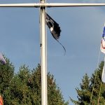 Flags flying against a blue sky above green trees, featuring various designs.