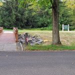 Wooden bridge over a stream leading into a park with trees and a school sign.
