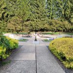 Cemetery pathway leading through graves surrounded by lush green trees and bushes.