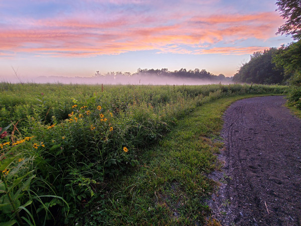 Mercer Meadows