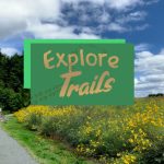 Green sign reading "Explore Trails" over a path leading through a field of yellow wildflowers under a blue sky.