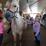 Child interacts with a light-colored horse inside an indoor arena.