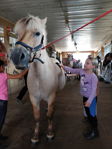 Mercer Meadows Equestrian Center