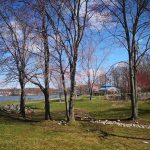 Bare trees line a grassy park overlooking a calm body of water under a blue sky.