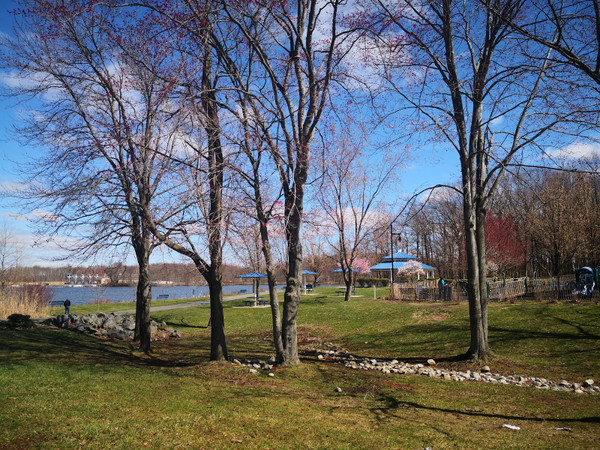 Mercer Park