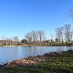 Blue sky over a calm lake with trees lining the distant shore.
