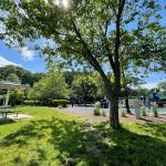 Sunny park scene with green trees, playground equipment visible in the background.