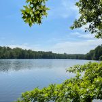 Calm lake reflecting blue sky, framed by lush green trees under a bright summer sun.